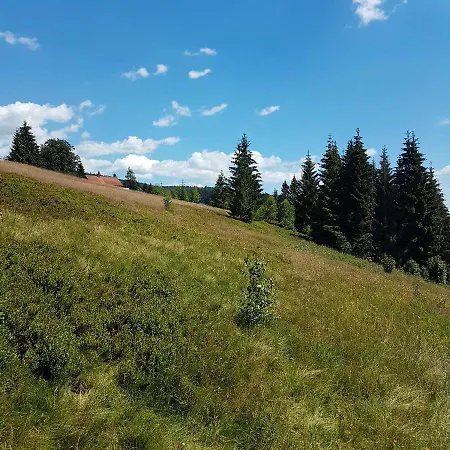 Apartamento Ferienwohnung Tannenstube Haidmühle